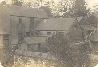 Plas Farm Dairy and Milking Parlour circa. 1900