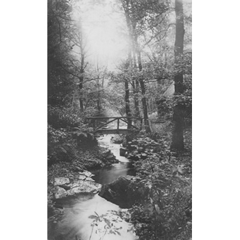 The River Clydach at Plas Farm circa. 1900 by The Lloyds of Plas Cilybebyll