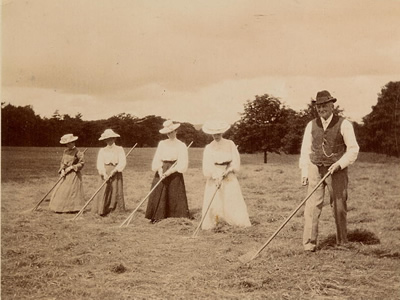 Hay Making at Plas Farm circa. 1900