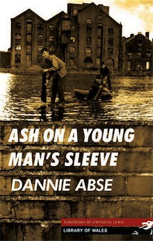 Ash on a Young Man's Sleeve by Danny Abse