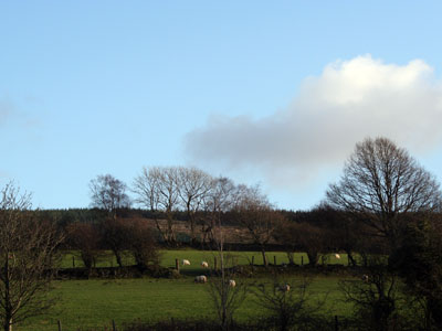 December Landscape at Plas Farm