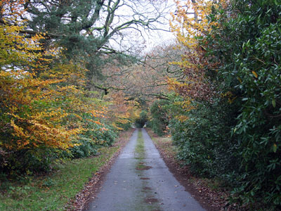 Plas Farm Drive