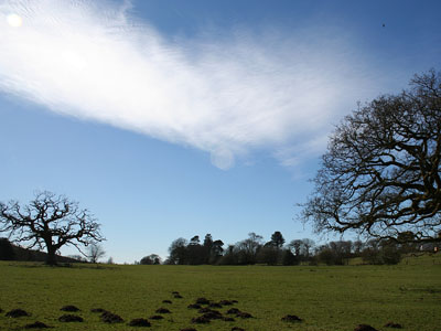 March Landscape at Plas Farm