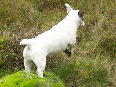 Holly on top of mountain